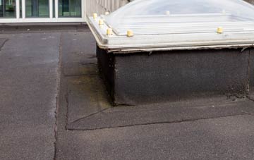 disadvantages of Carleton Forehoe flat roofs